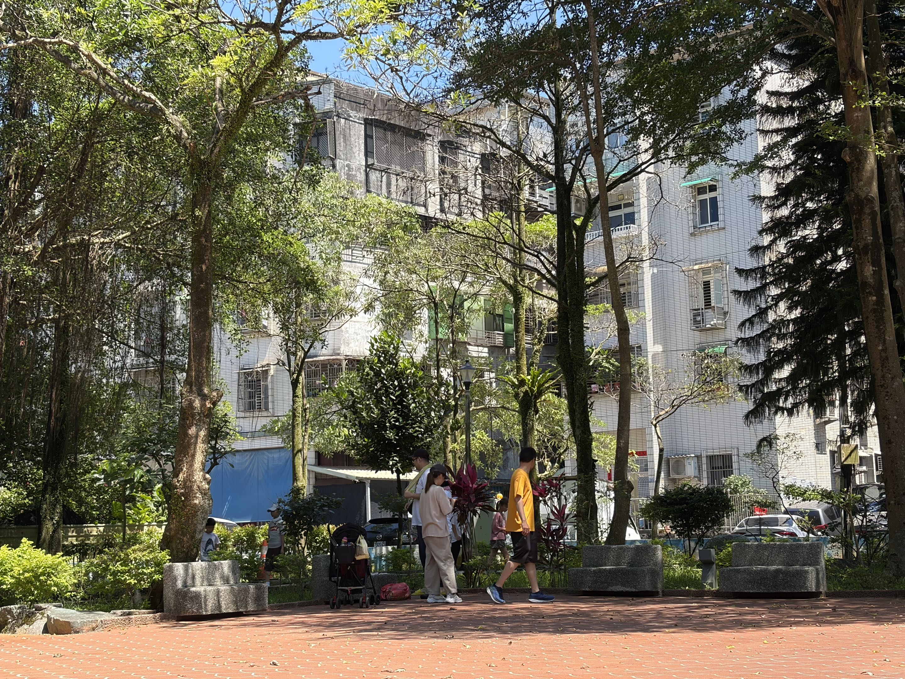 孩子們在公園尋找彩繪小石頭